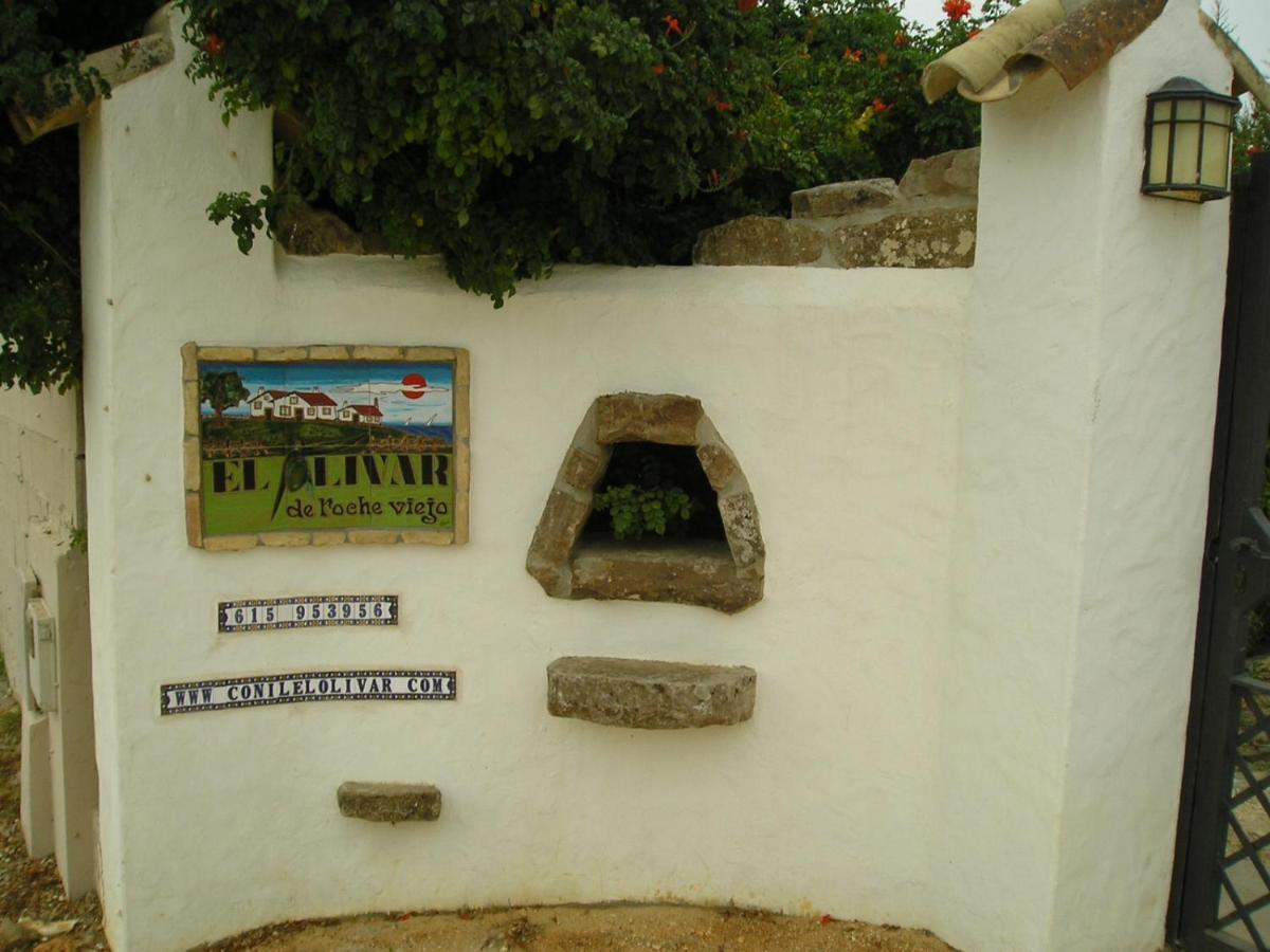 El Olivar De Roche Viejo Conil De La Frontera Zewnętrze zdjęcie