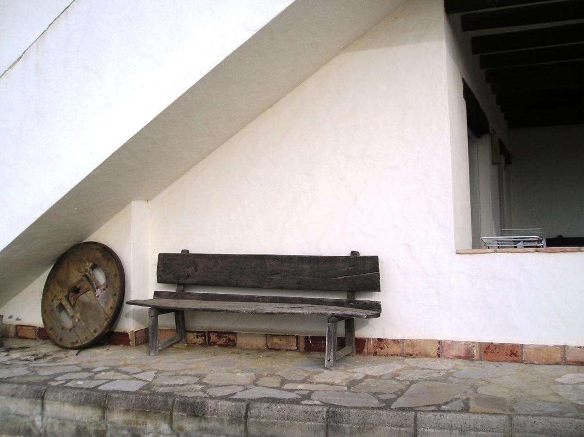El Olivar De Roche Viejo Conil De La Frontera Zewnętrze zdjęcie
