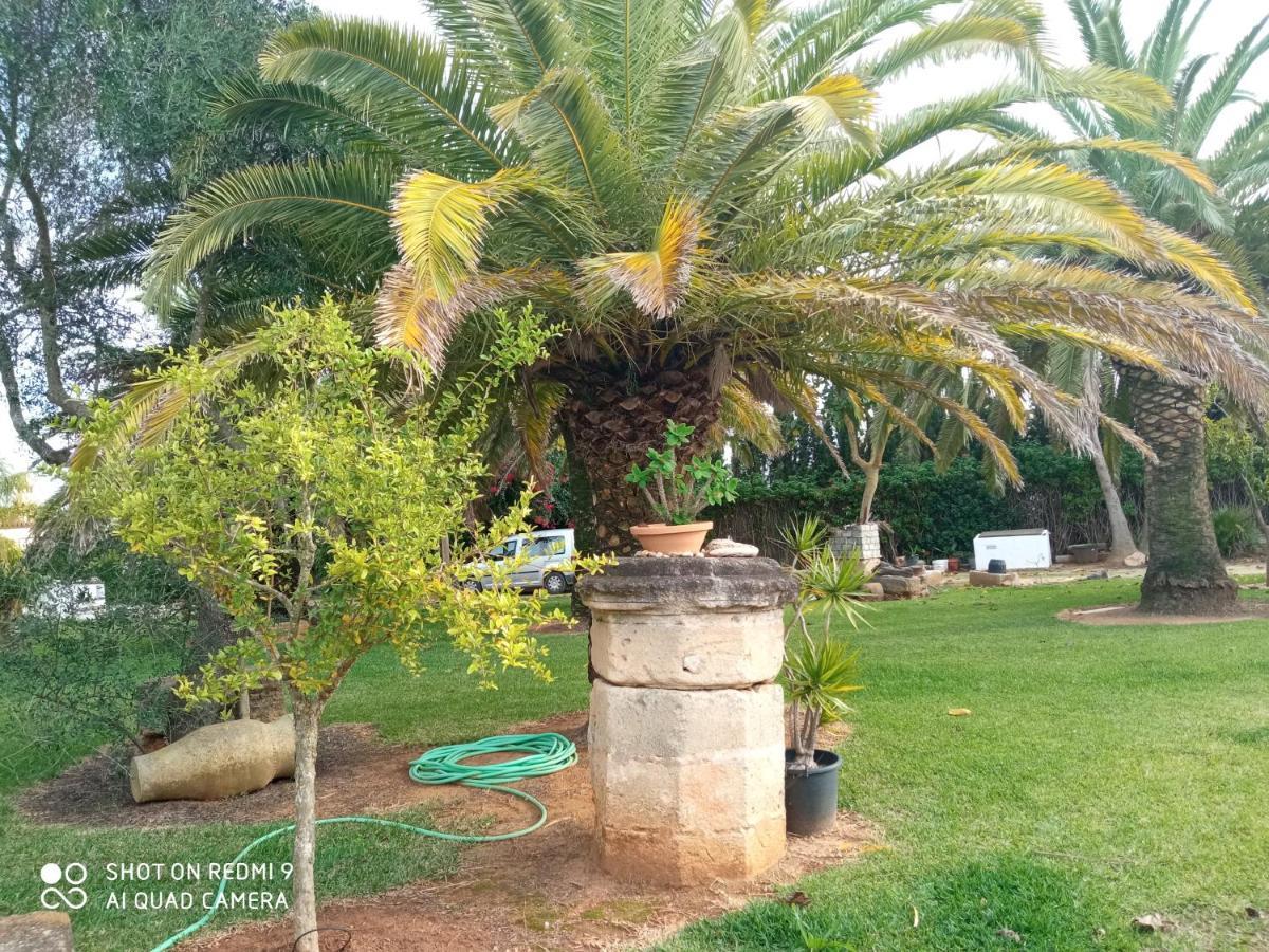 El Olivar De Roche Viejo Conil De La Frontera Zewnętrze zdjęcie