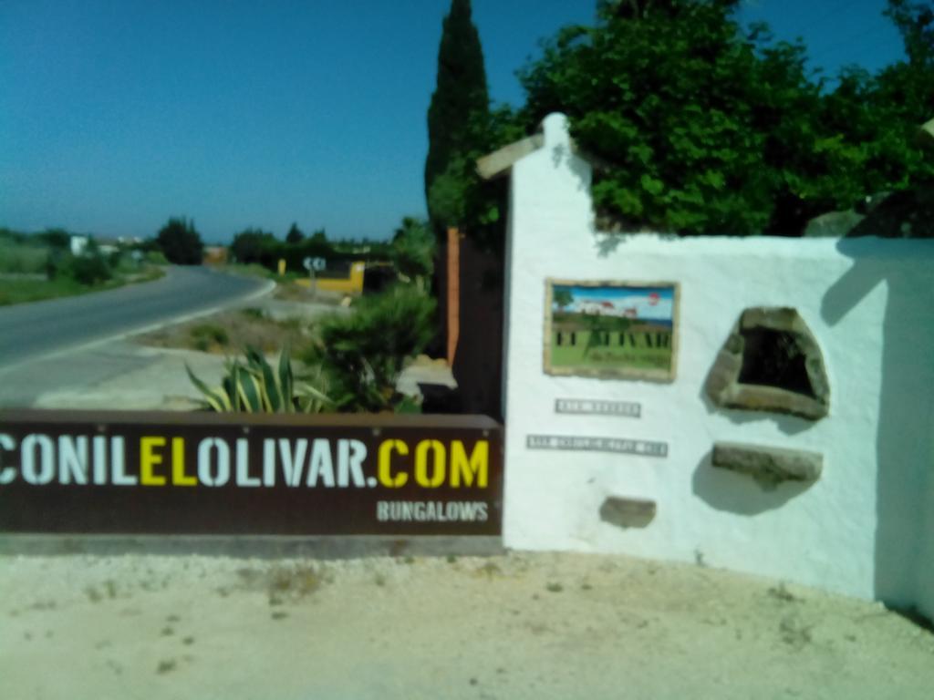 El Olivar De Roche Viejo Conil De La Frontera Zewnętrze zdjęcie