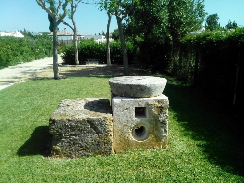 El Olivar De Roche Viejo Conil De La Frontera Zewnętrze zdjęcie