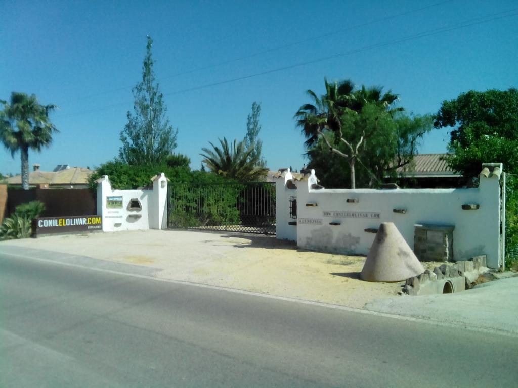 El Olivar De Roche Viejo Conil De La Frontera Zewnętrze zdjęcie