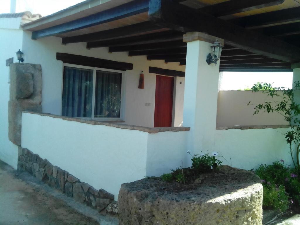 El Olivar De Roche Viejo Conil De La Frontera Zewnętrze zdjęcie