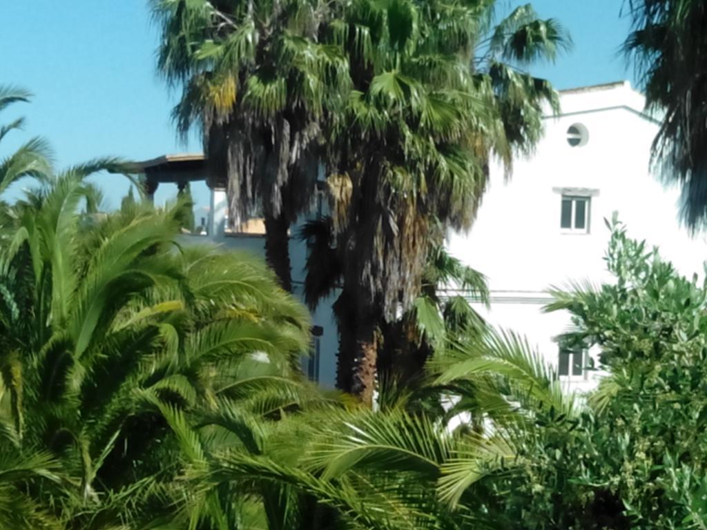 El Olivar De Roche Viejo Conil De La Frontera Zewnętrze zdjęcie