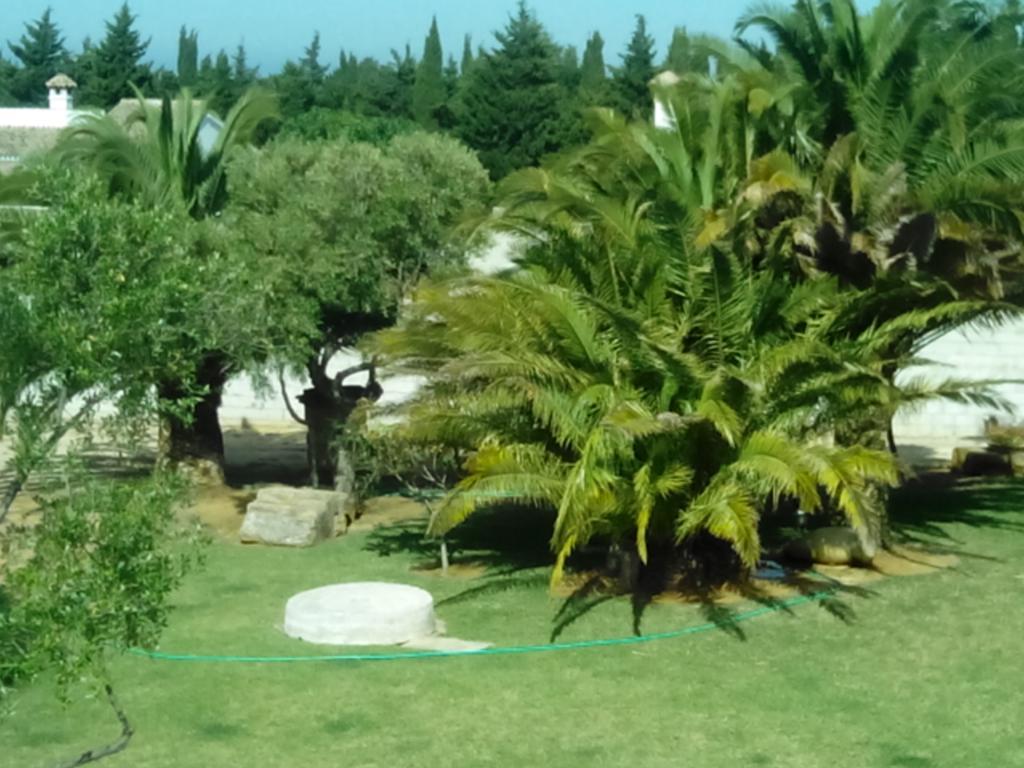 El Olivar De Roche Viejo Conil De La Frontera Zewnętrze zdjęcie