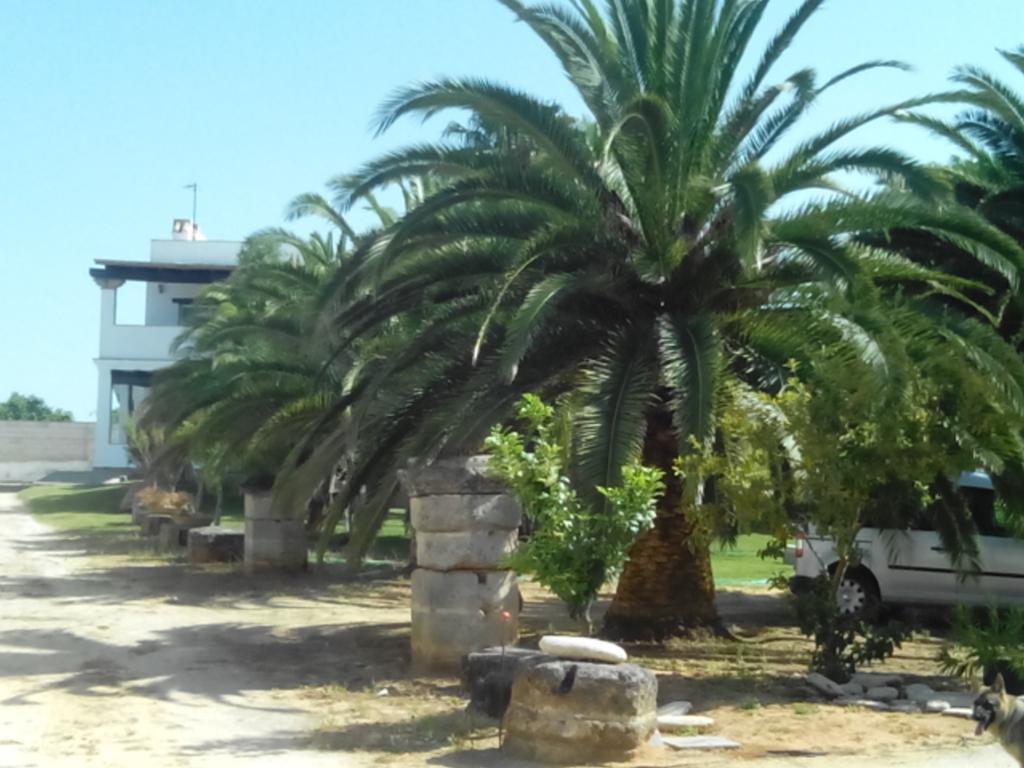 El Olivar De Roche Viejo Conil De La Frontera Zewnętrze zdjęcie