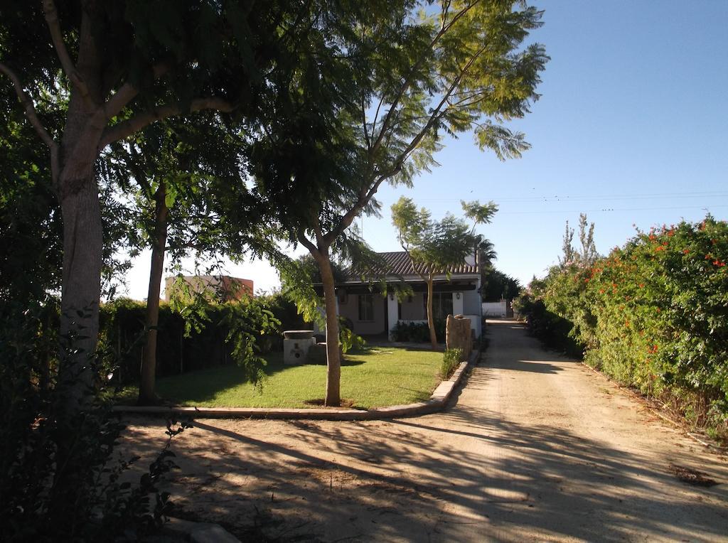 El Olivar De Roche Viejo Conil De La Frontera Zewnętrze zdjęcie