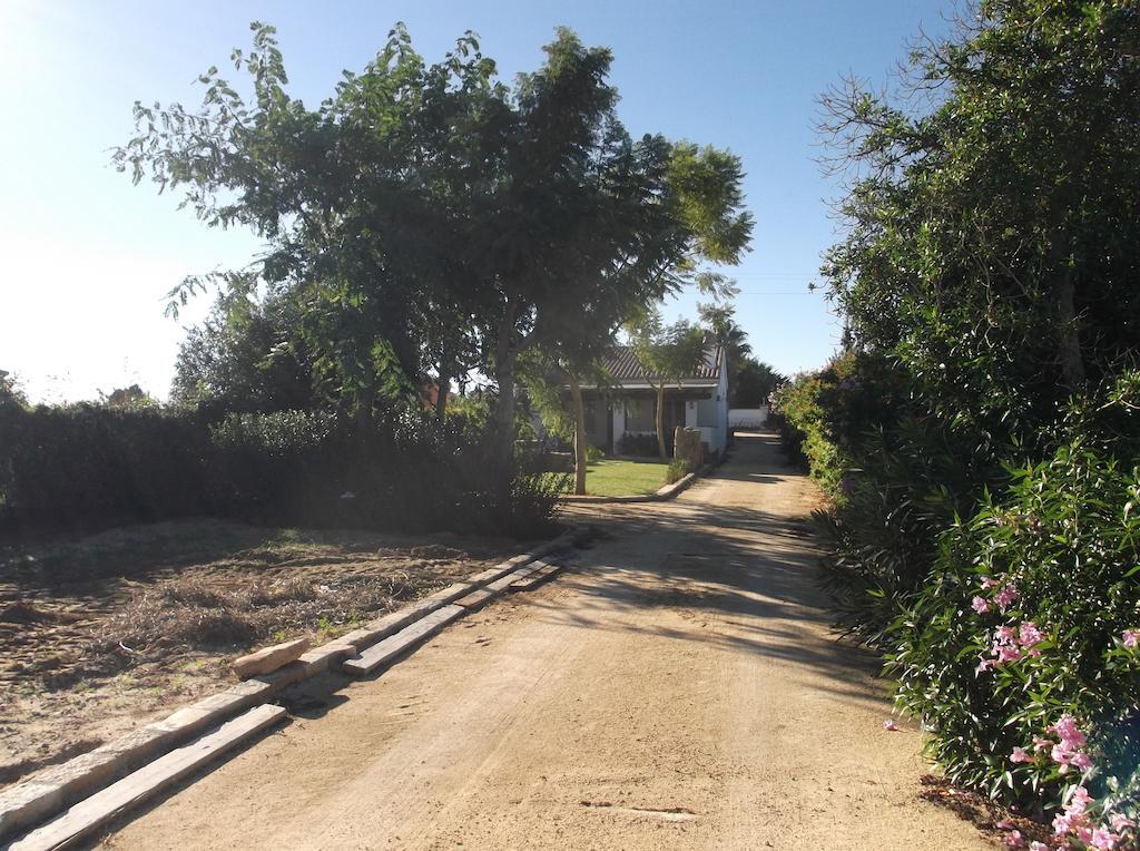El Olivar De Roche Viejo Conil De La Frontera Zewnętrze zdjęcie
